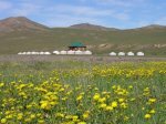 Mongolia Tours: Visit to the Nomads